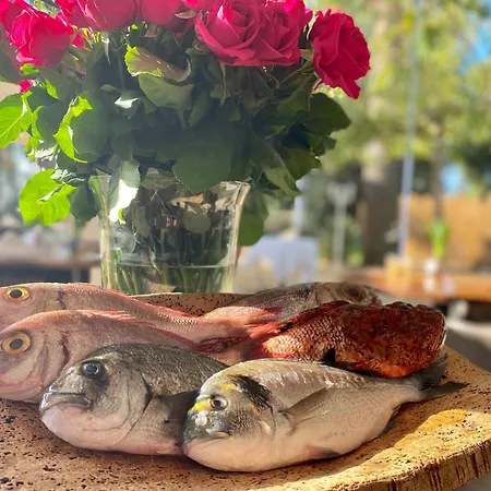 فندق De La Hyères
